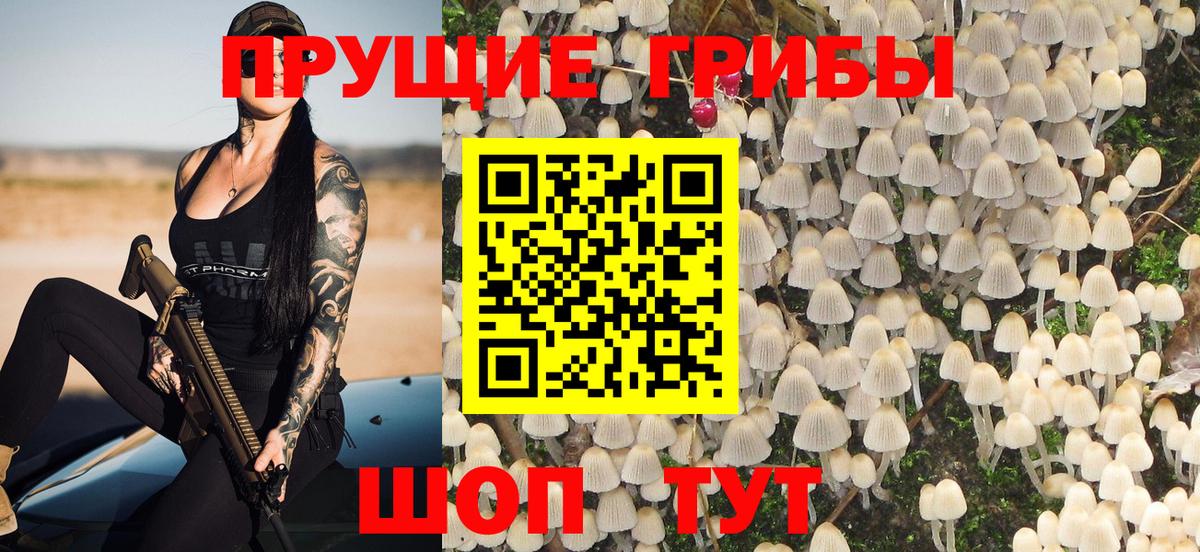 Псилоцибиновые грибы ЛСД Златоуст