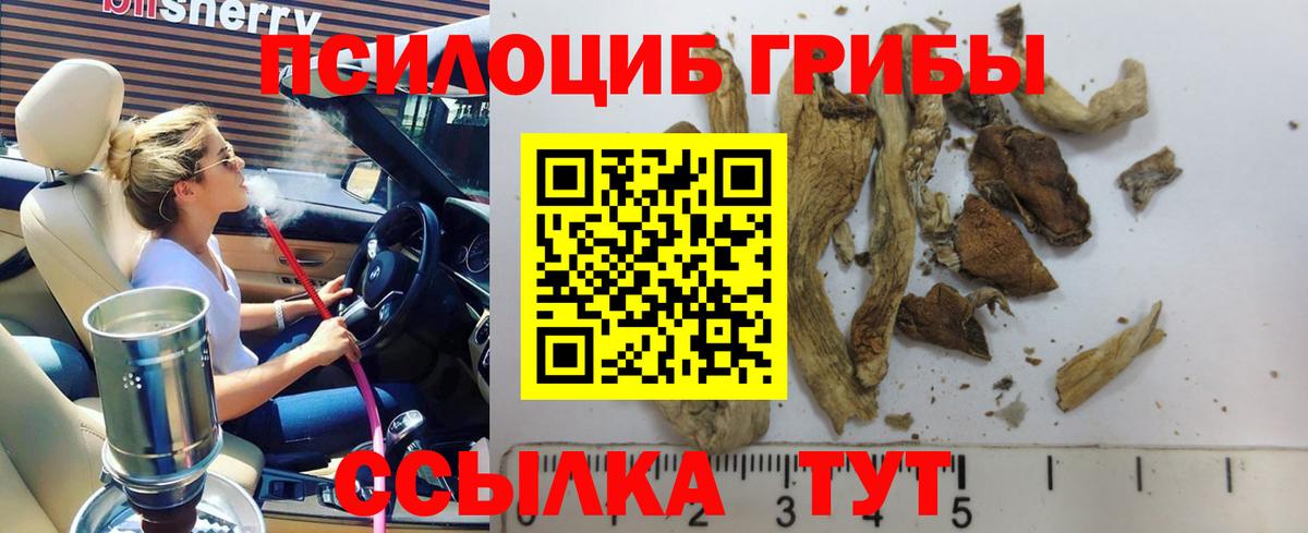 Псилоцибиновые грибы Psilocybine cubensis  Вход с VPN  Златоуст 